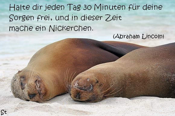 Halte dir jeden Tag dreißig Minuten
für deine Sorgen frei
und in dieser Zeit mache
ein Nickerchen. Abraham Lincoln