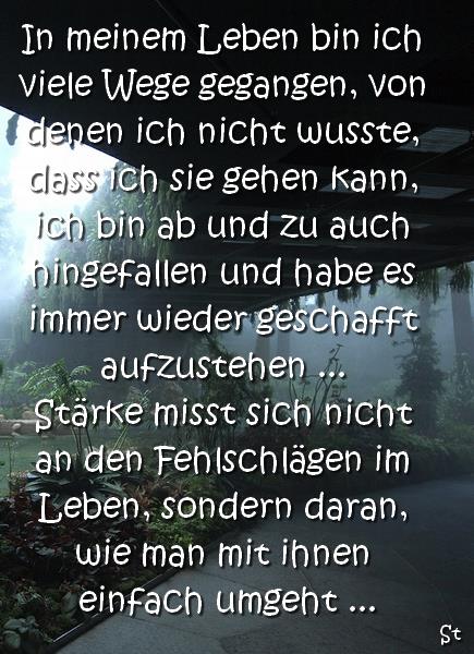 In meinem Leben bin ich viele Wege gegangen, von denen ich nicht wusste, dass ich sie gehen kann, ich bin ab und zu auch hingefallen und habe es immer wieder geschafft aufzustehen ... Stärke misst sich nicht an den Fehlschlägen im Leben, sondern daran, wie man mit ihnen einfach umgeht ...