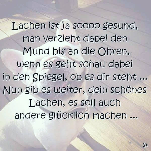 Lachen ist ja soooo gesund, man verzieht dabei den Mund bis an die Ohren, wenn es geht schau dabei in den Spiegel, ob es dir steht ... Nun gib es weiter, dein schönes Lachen, es soll auch andere glücklich machen ...