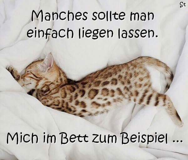 Manches sollte man einfach liegen lassen. Mich im Bett zum Beispiel ...