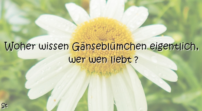 Woher wissen Gänseblümchen eigentlich, wer wen liebt ???