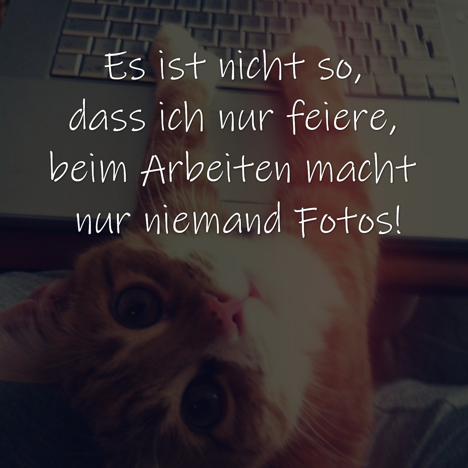 Es ist nicht so, dass ich nur feiere, beim Arbeiten macht nur niemand Fotos!