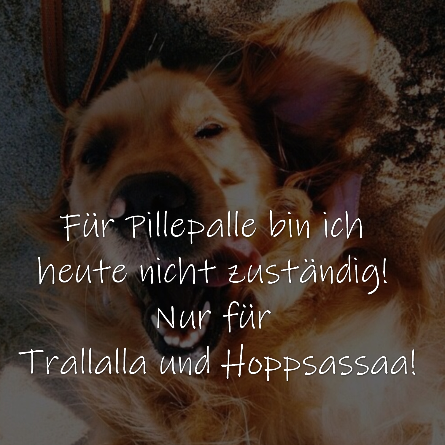 Für Pillepalle bin ich heute nicht zuständig! Nur für Trallalla und Hoppsassaa!