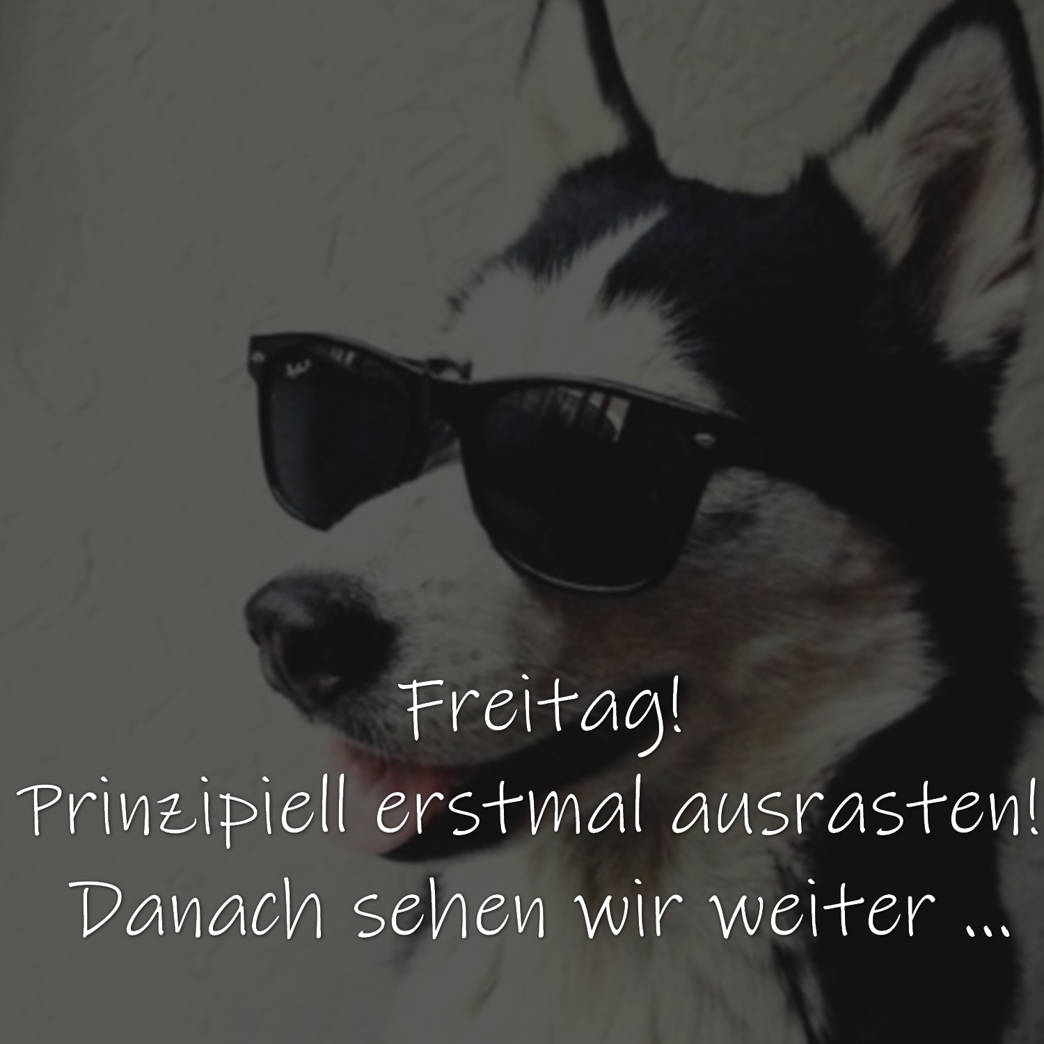 Freitag! Prinzipiell erstmal ausrasten! Danach sehen wir weiter ...