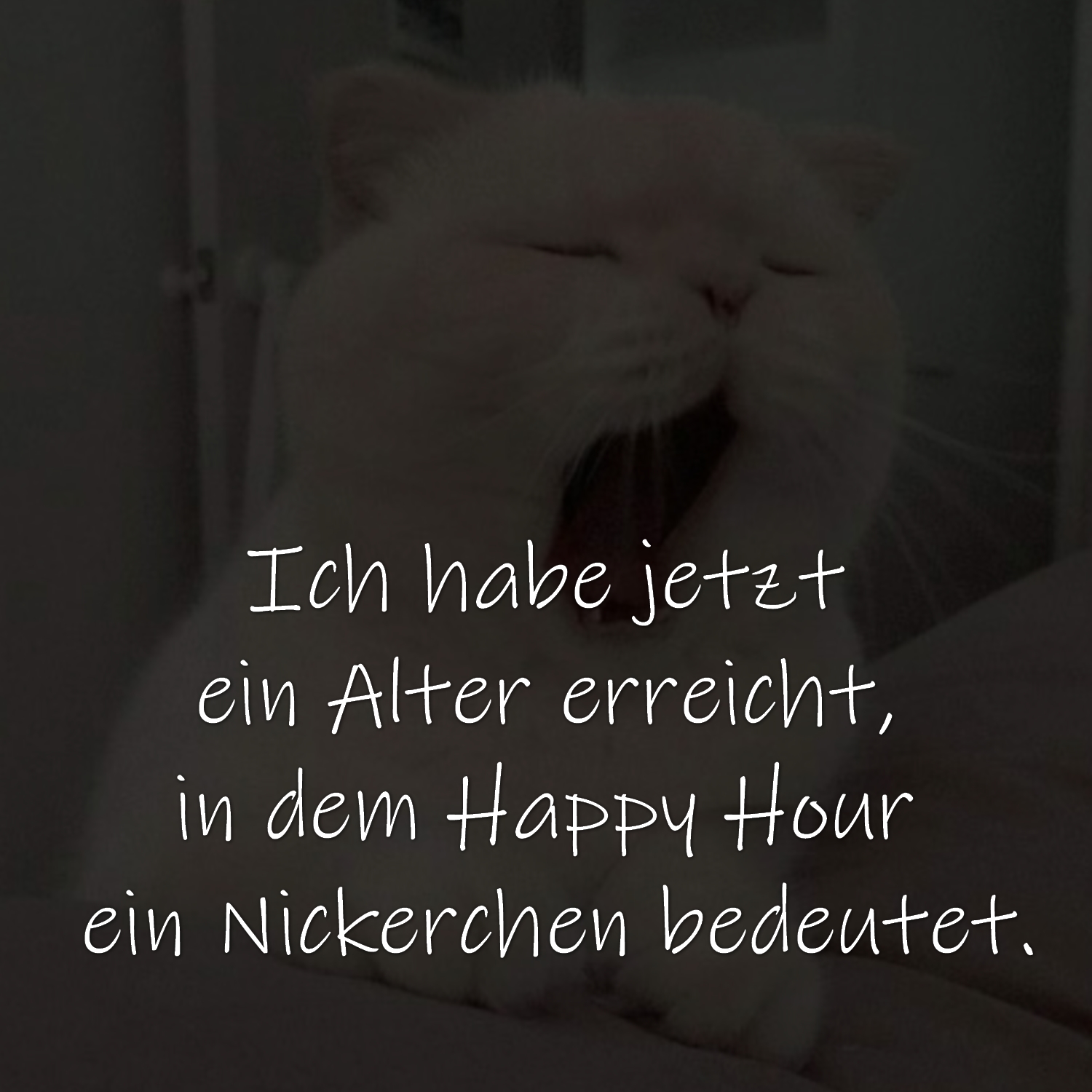 Ich habe jetzt ein Alter erreicht, in dem Happy Hour ein Nickerchen bedeutet.