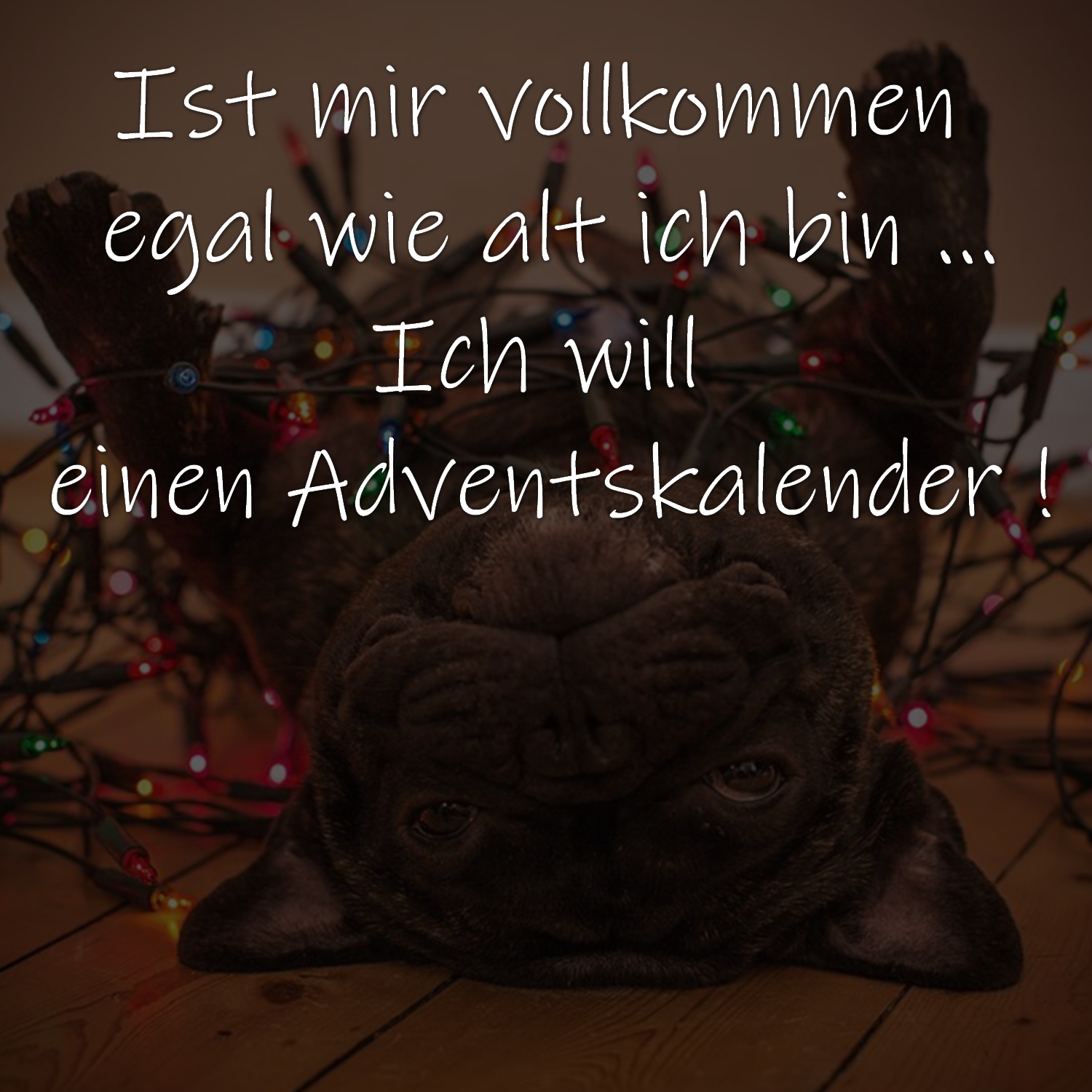 Ist mir vollkommen egal wie alt ich bin ... Ich will einen Adventskalender !