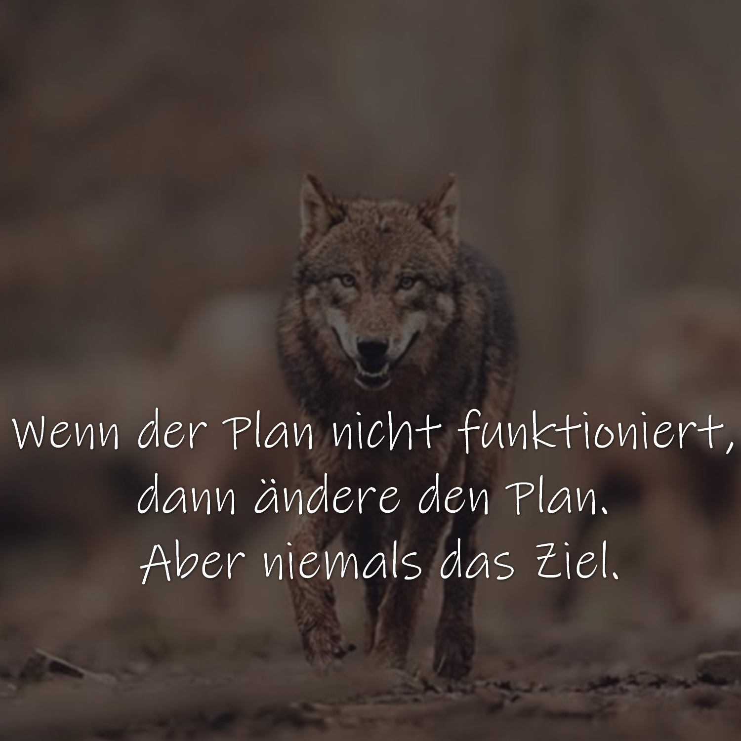 Wenn der Plan nicht funktioniert, dann ändere den Plan. Aber niemals das Ziel.