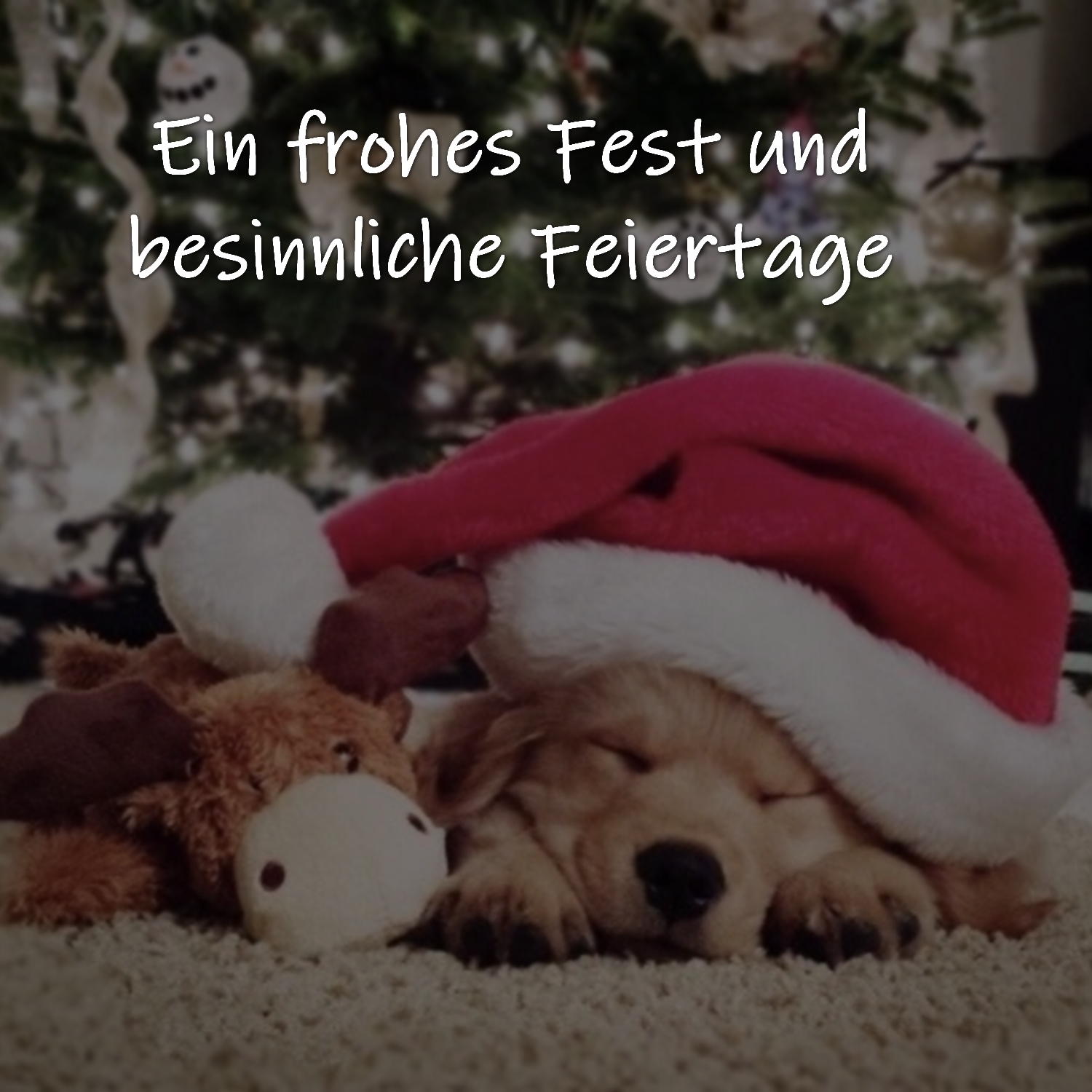 Gruß zum Weihnachtsfest, Weihnachtsgrüße zum Versenden in WhatsApp Gruppen, Facebookposting, den WhatsApp Status oder Instagram.