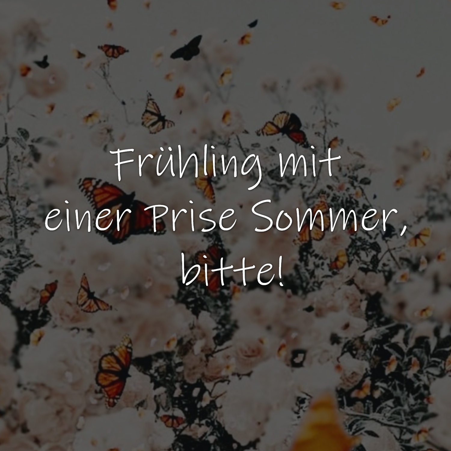 Frühling mit einer Prise Sommer, bitte!