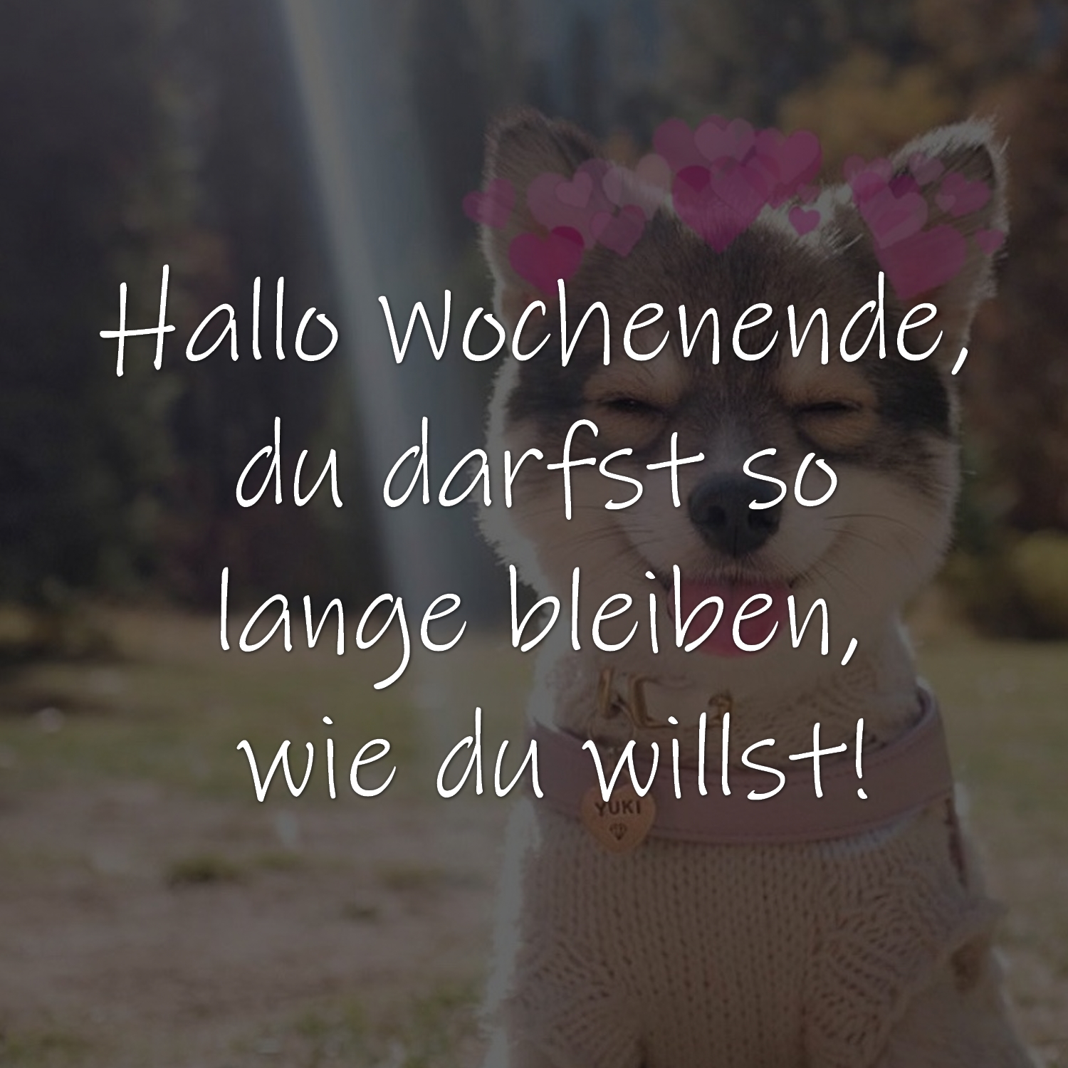 Hallo Wochenende, du darfst so lange bleiben, wie du willst!