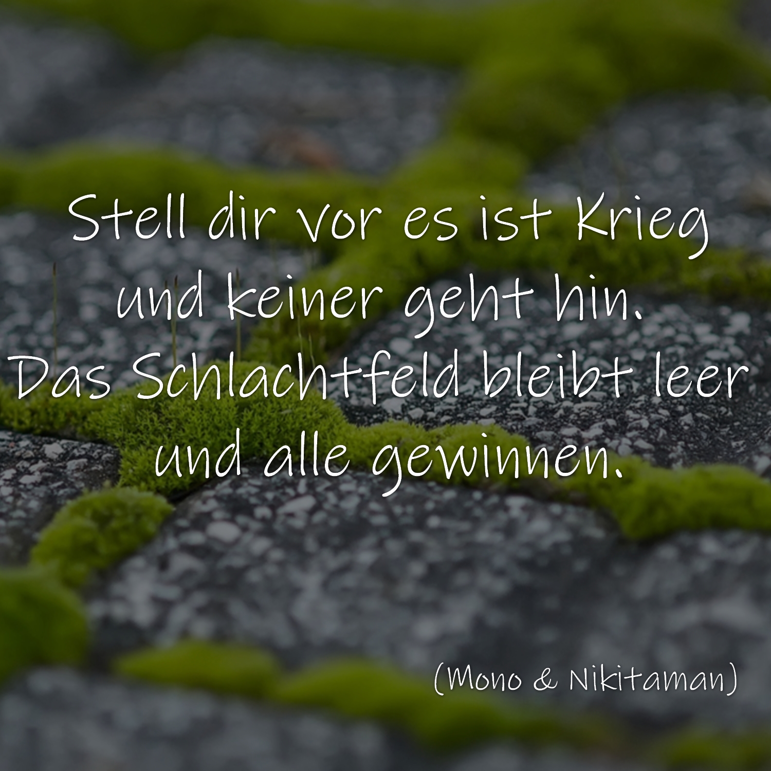 Stell dir vor es ist Krieg und keiner geht hin. Das Schlachtfeld bleibt leer und alle gewinnen. (Mono&Nikitaman)