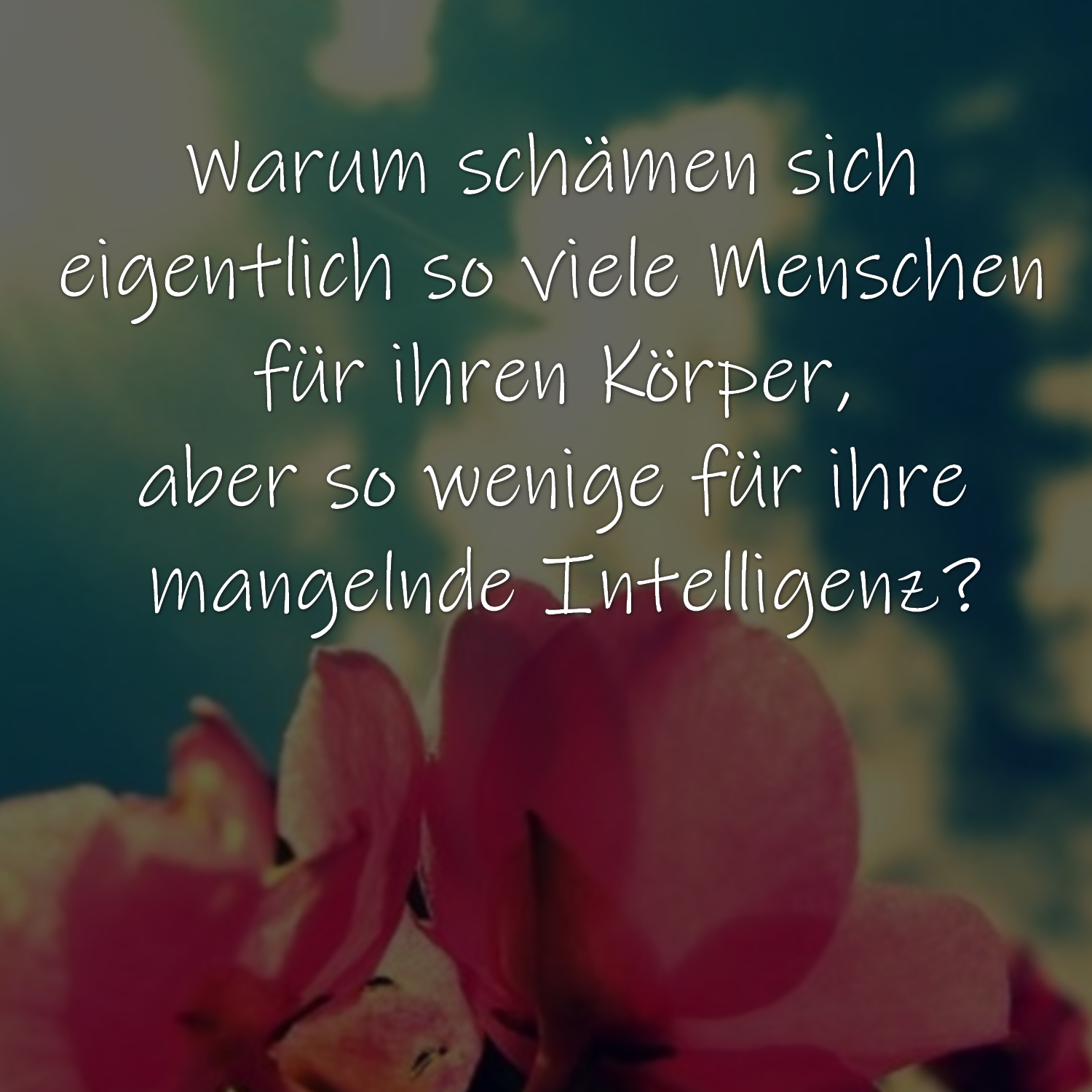 Warum schämen sich eigentlich so viele Menschen für ihren Körper, aber so wenige für ihre mangelnde Intelligenz?