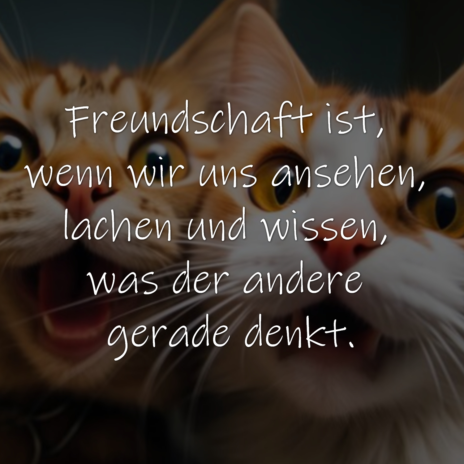 Freundschaft ist