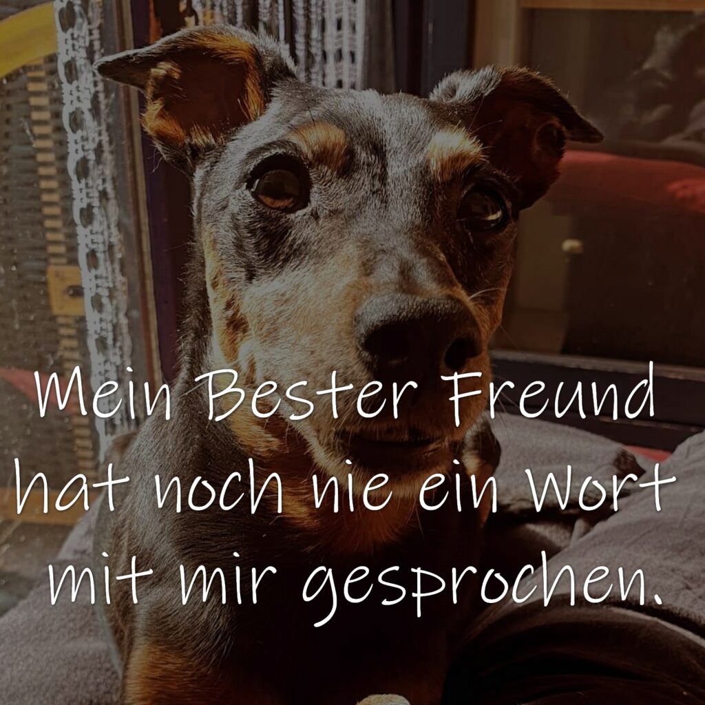 Mein Bester Freund hat noch nie ein Wort mit mir gesprochen.