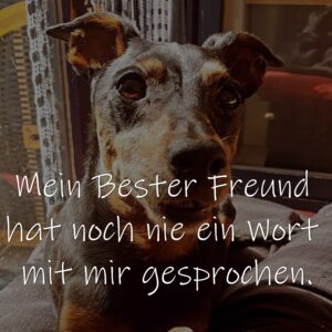 Mein Bester Freund hat noch nie ein Wort mit mir gesprochen.

